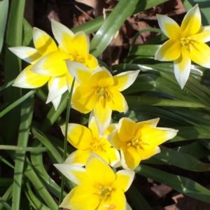 Meet your Posher, Audrey